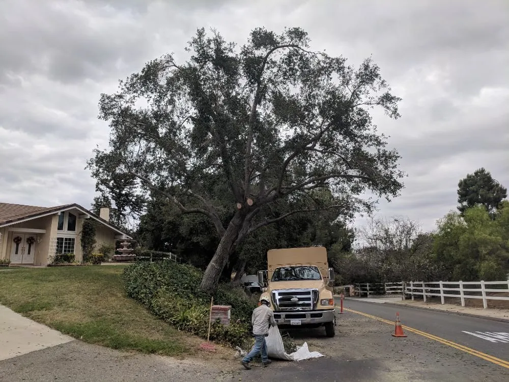 Local yard maintenance for homes in Temecula, CA by Landscapers Temecula