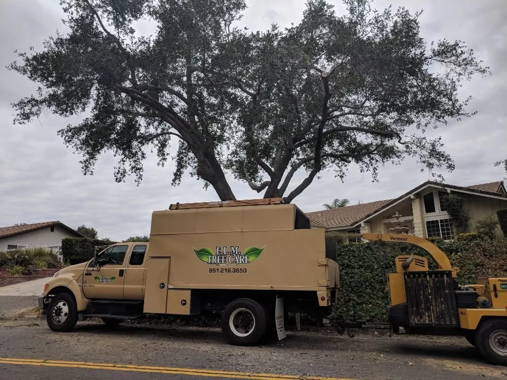 Expert landscape installation in Temecula, CA by Landscapers Temecula