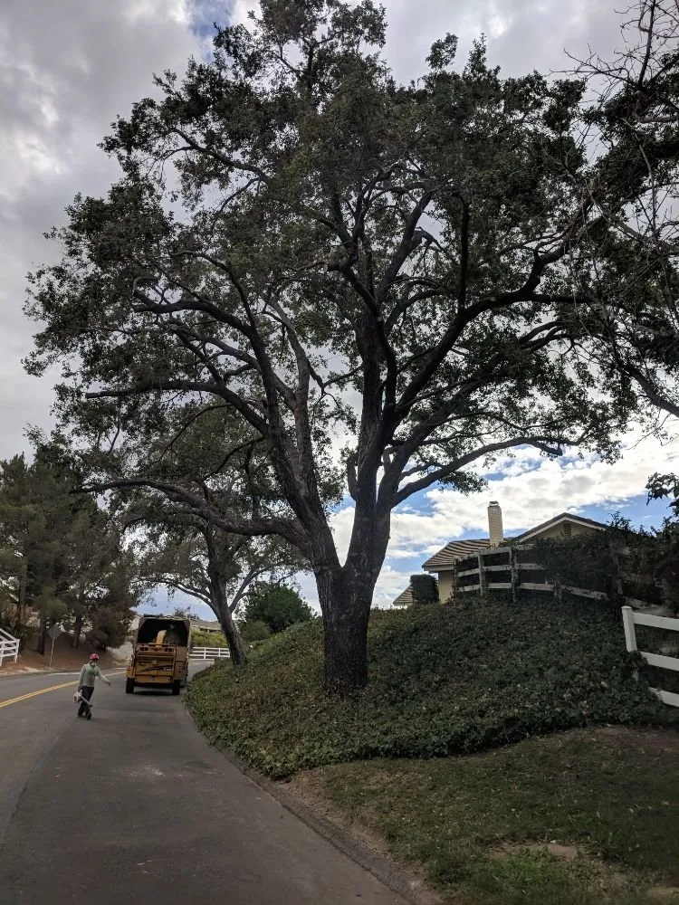 Reliable garden landscaping experts serving Temecula, CA - Landscapers Temecula