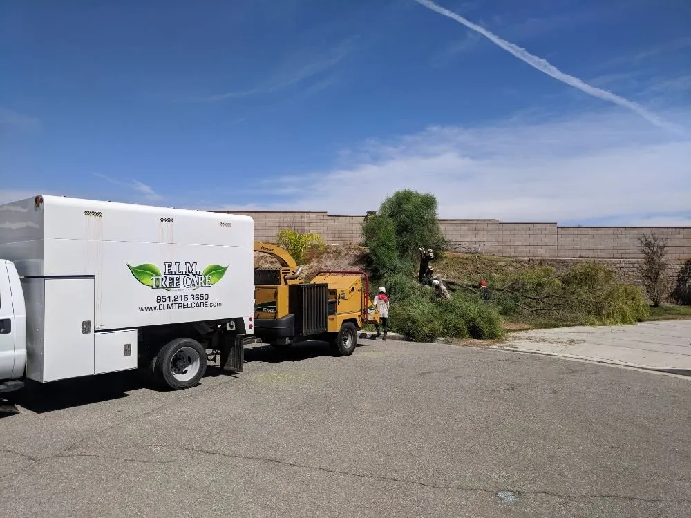 Professional landscape design in Temecula, CA - Landscapers Temecula