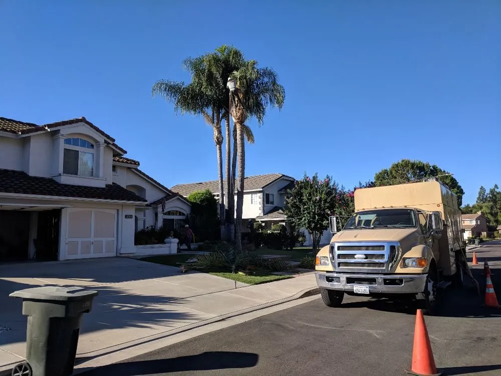 Affordable garden landscaping for year-round maintenance across Temecula, CA - Landscapers Temecula