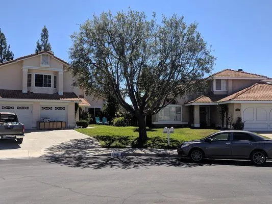 Landscapers Temecula Logo