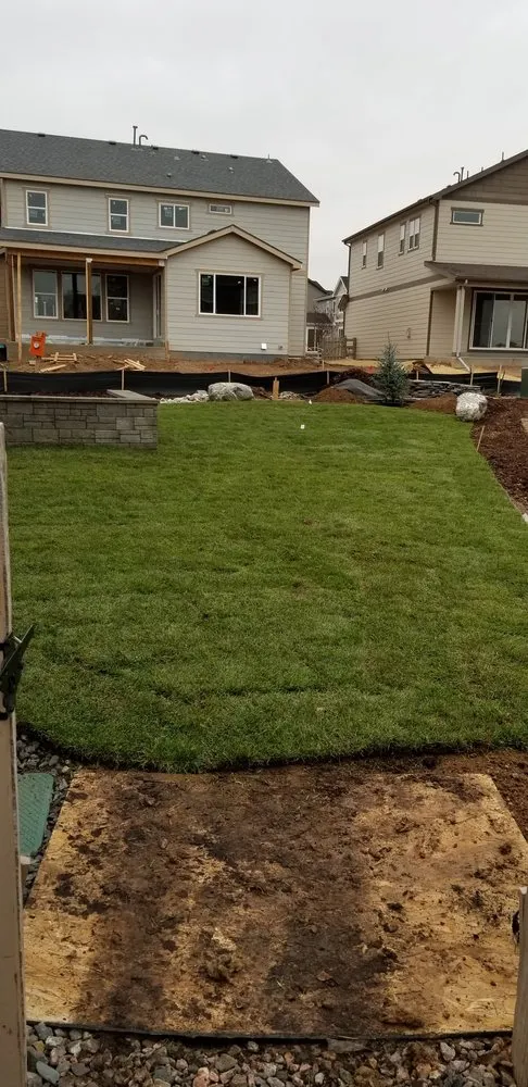 Expert yard cleanup service in Littleton, CO - Landscapes 101