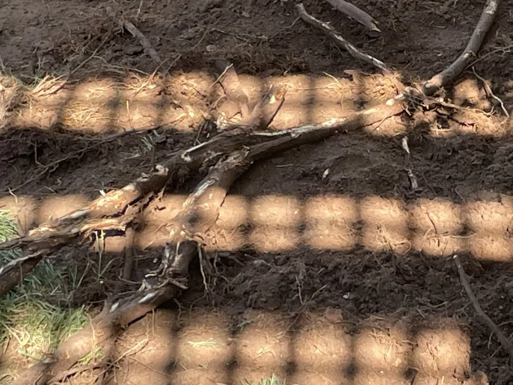 Expert landscaping services in Littleton, CO - Landscapes 101