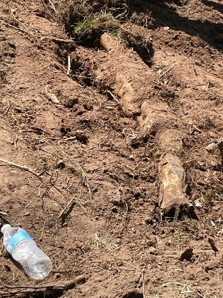 Trusted residential landscaping for beautiful yards across Littleton, CO - Landscapes 101