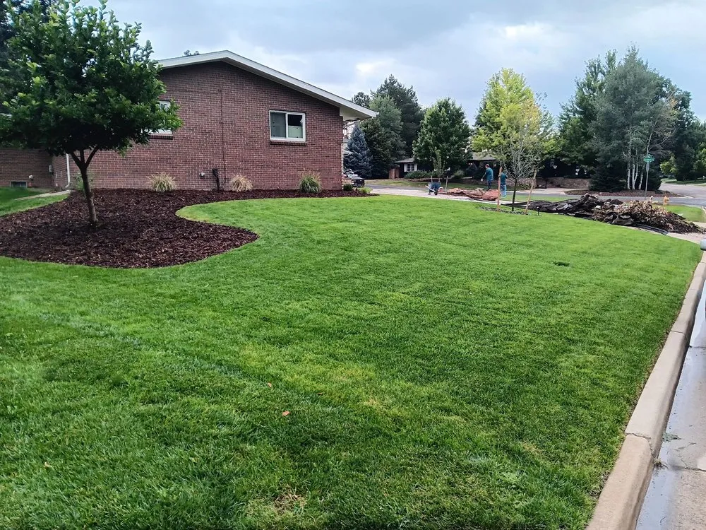 Trusted yard cleanup service for outdoor upgrades in Littleton, CO by Landscapes 101