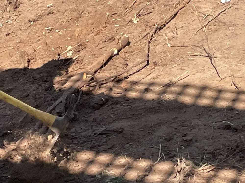 Trusted yard maintenance experts serving Littleton, CO - Landscapes 101