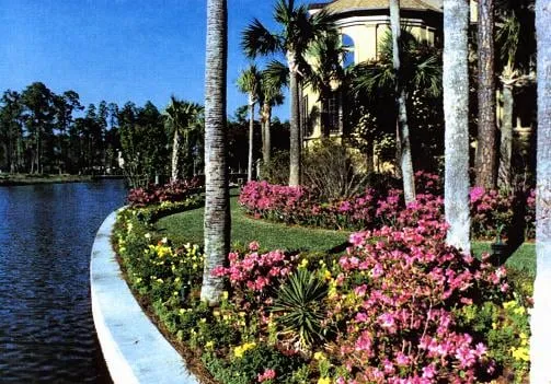 Custom outdoor landscaping for beautiful yards across Bluffton, SC - Landscapes and Lights