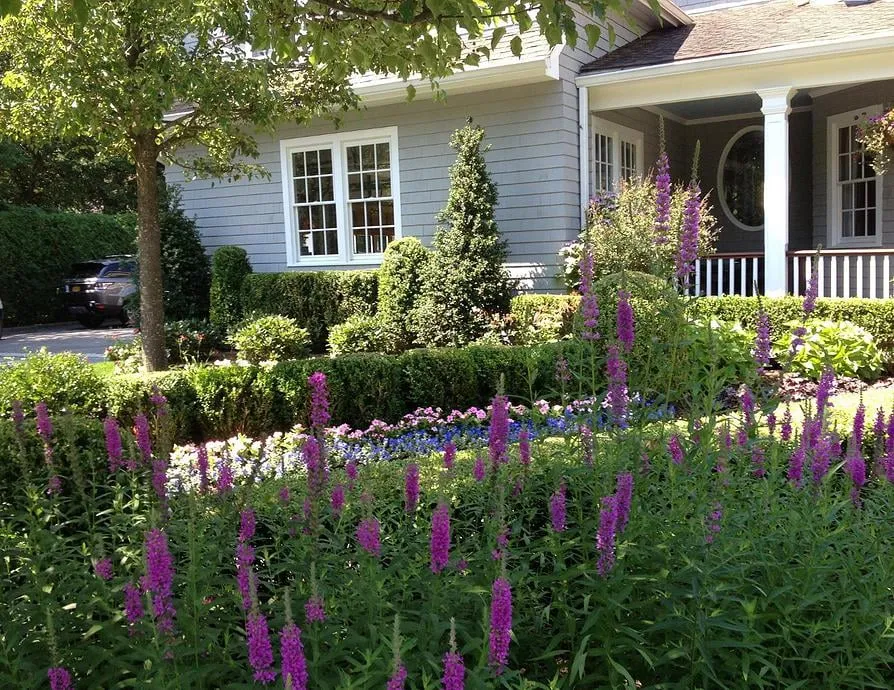 Custom landscape design in Commack, NY by Landscapes By Andrew Rubin