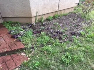 Expert lawn care service experts serving Temple, TX - Landscapes By Andrew