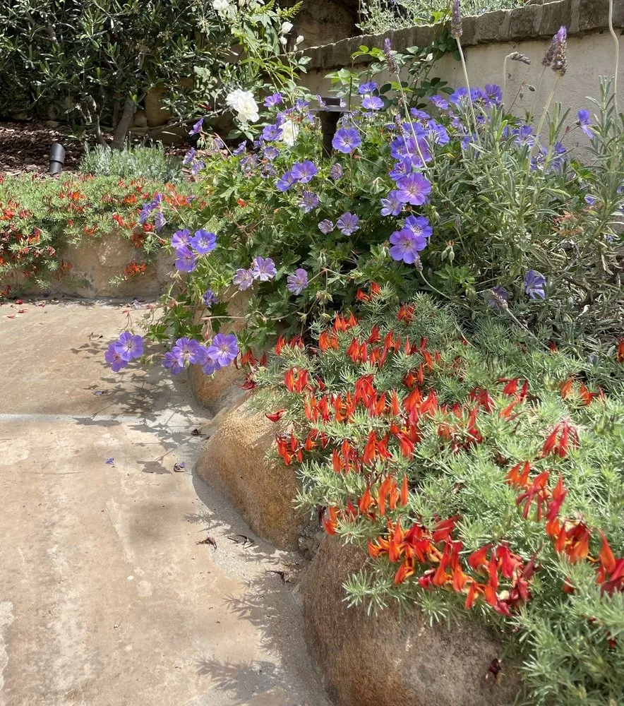 Top-rated landscape installation in Santa Barbara, CA - Landscapes By Art