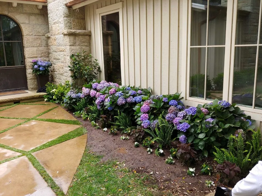 Reliable landscape design in Santa Barbara, CA by Landscapes By Art