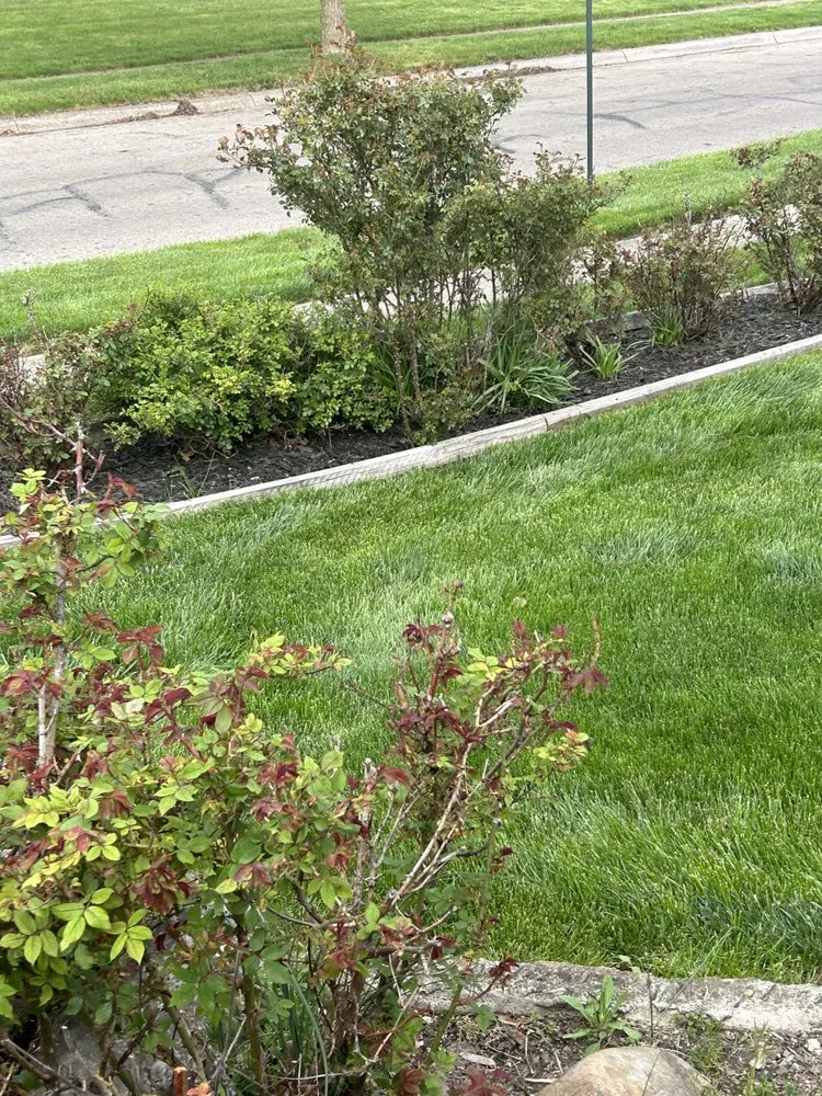 Professional yard maintenance experts serving Columbus, OH - Landscapes By Chisholm