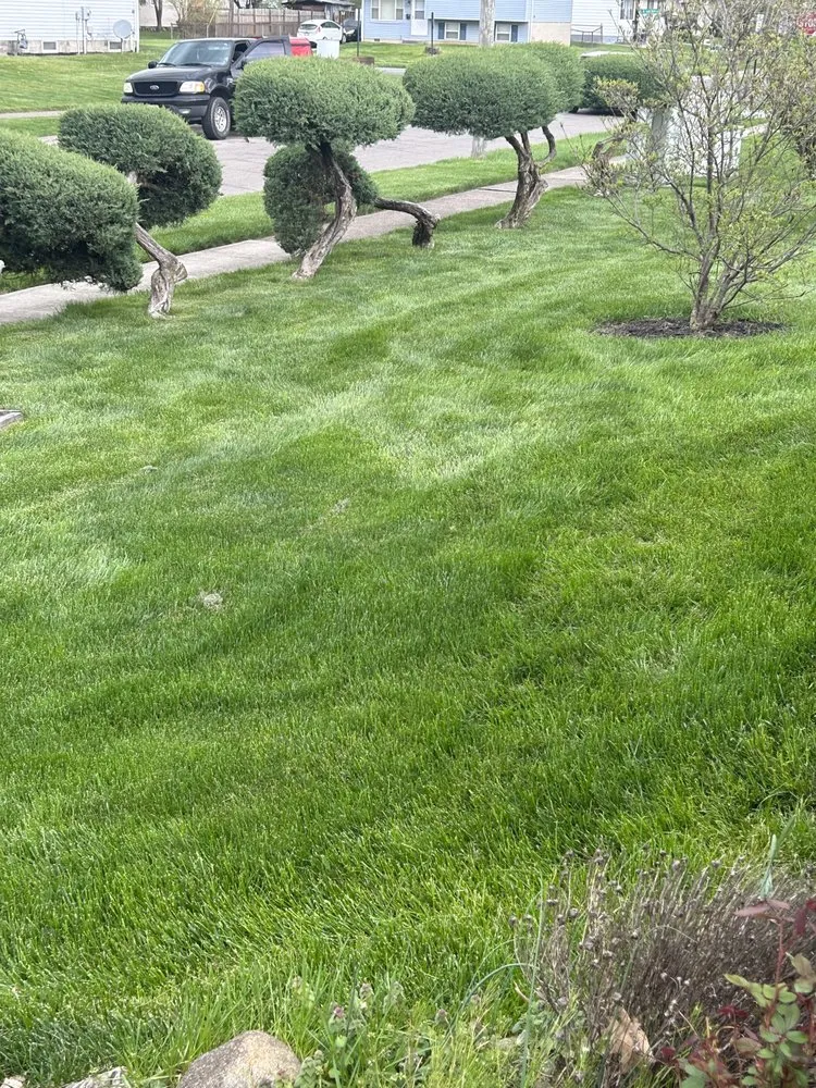 Trusted landscape installation for residential properties in Columbus, OH by Landscapes By Chisholm