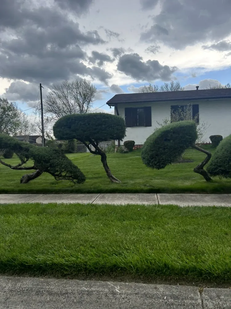 Local yard cleanup service in Columbus, OH by Landscapes By Chisholm
