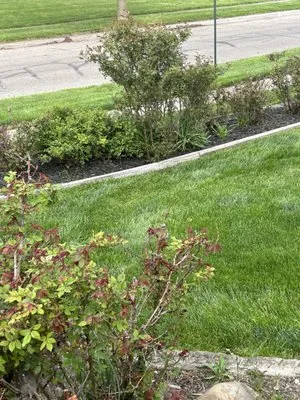 Landscapes By Chisholm Logo