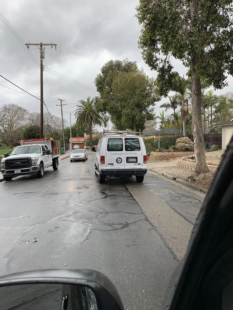 Local yard cleanup service in Santa Barbara, CA by Landscapes by Davids