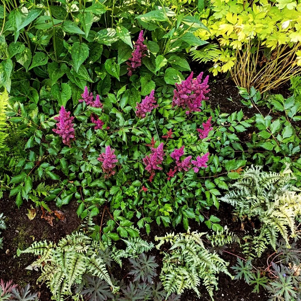 Custom yard maintenance experts serving Lake Geneva, WI - Landscapes By Diane