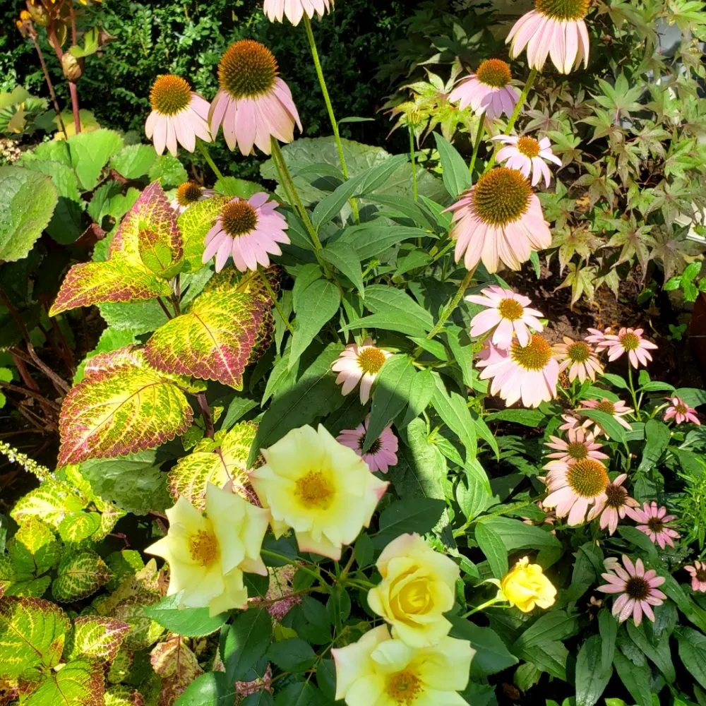 Trusted residential landscaping in Lake Geneva, WI by Landscapes By Diane