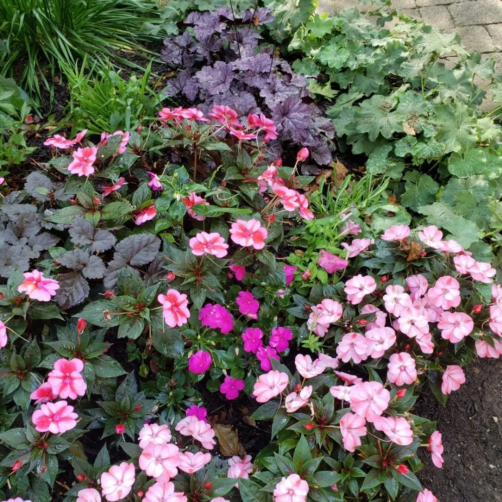 Local lawn care service with custom design across Lake Geneva, WI - Landscapes By Diane