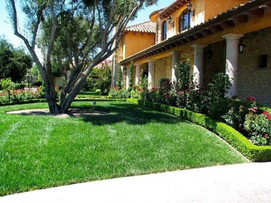 Top-rated yard maintenance for beautiful yards across Thousand Oaks, CA - Landscapes By Jeffery