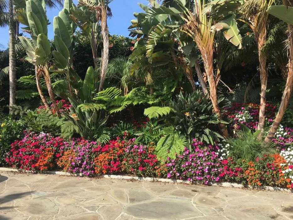 Expert lawn care service in Thousand Oaks, CA - Landscapes By Jeffery