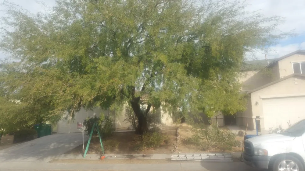 Trusted landscape design for outdoor upgrades across Tucson, AZ - Landscapes by Kory