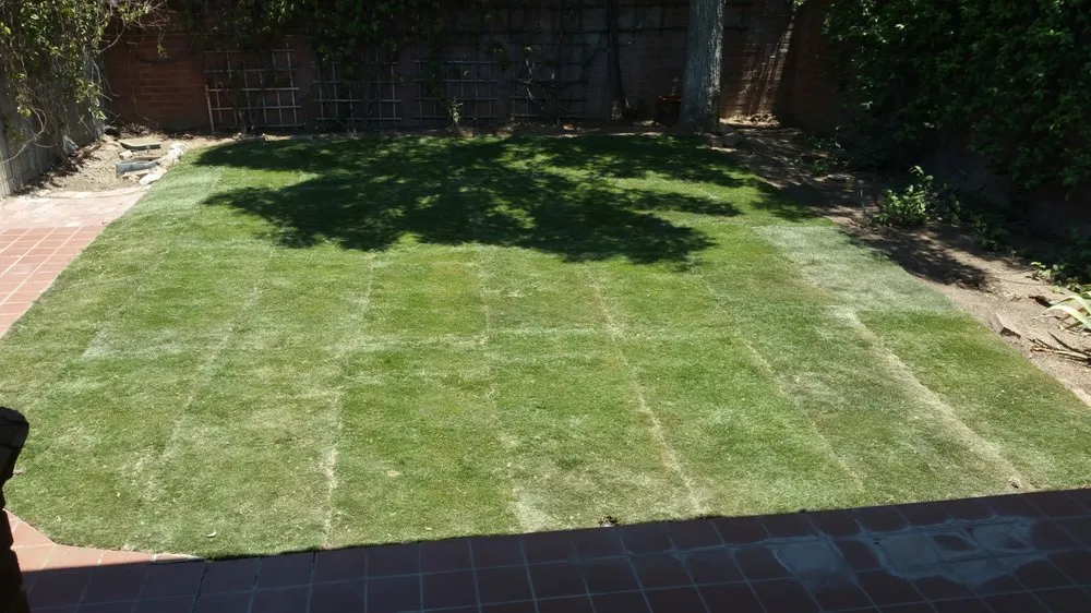 Expert landscaping services with custom design in Tucson, AZ by Landscapes by Kory