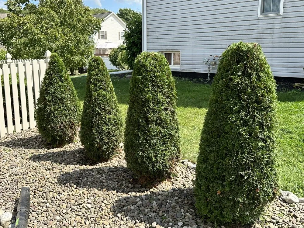 Affordable lawn mowing service with custom design across Carlisle, PA - Landscapes by Landon