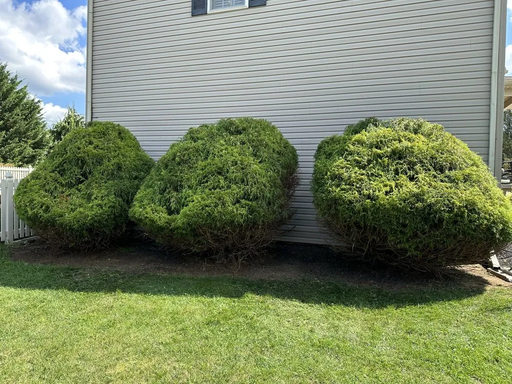 Custom outdoor landscaping experts serving Carlisle, PA - Landscapes by Landon