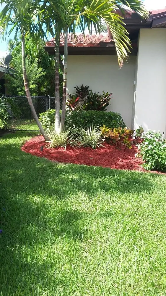 Top-rated yard maintenance with custom design across Saint Petersburg, FL - Landscapes By Lightfoot