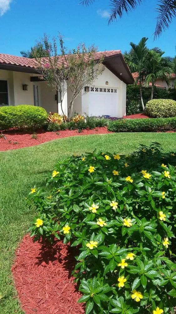 Top-rated landscape installation for year-round maintenance across Saint Petersburg, FL - Landscapes By Lightfoot