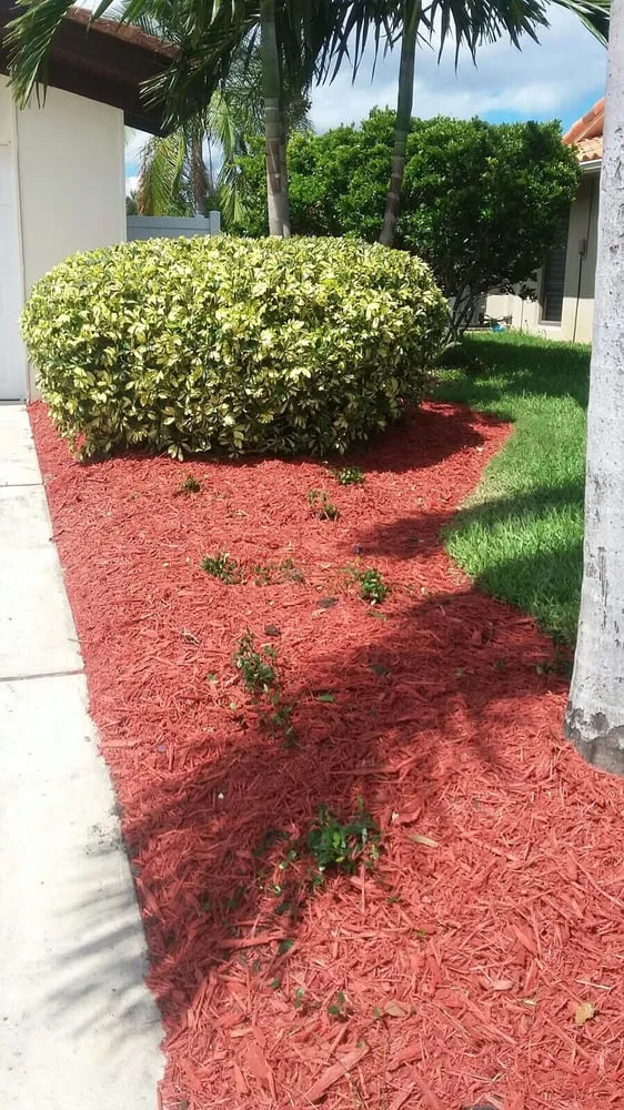Affordable lawn care service in Saint Petersburg, FL by Landscapes By Lightfoot