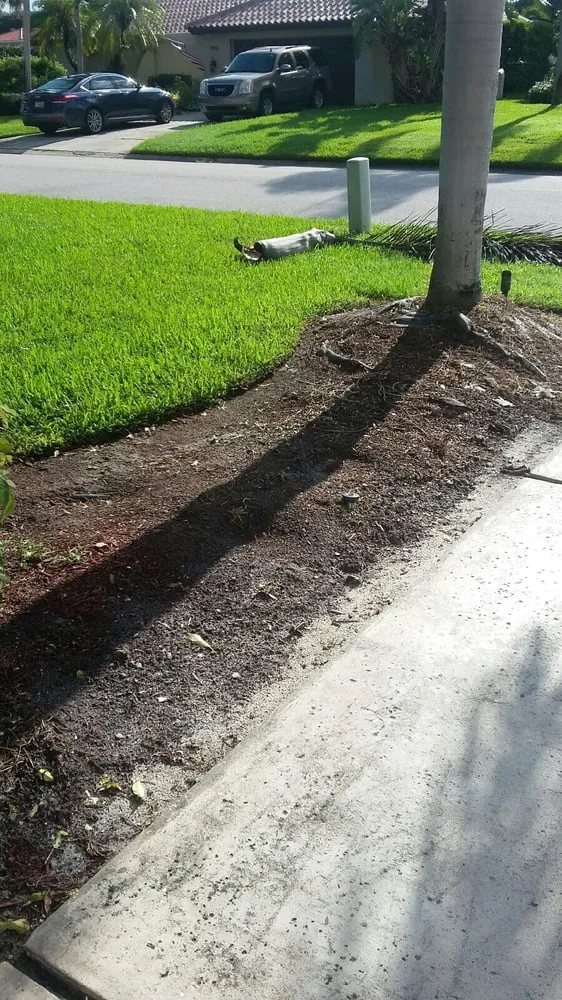 Expert outdoor landscaping for beautiful yards across Saint Petersburg, FL - Landscapes By Lightfoot