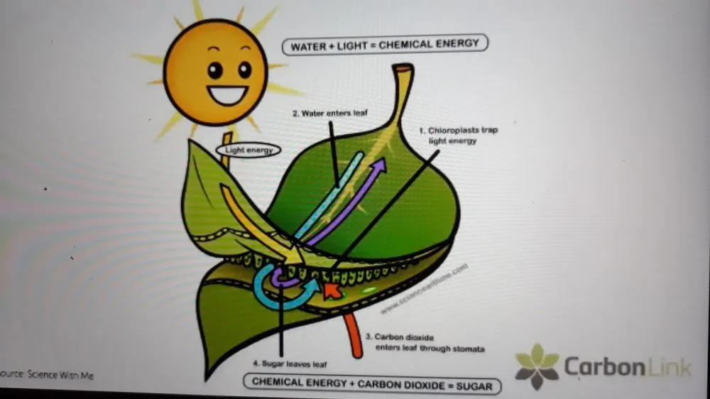 Trusted lawn mowing service experts serving Central Islip, NY - Landscapes by the Yard