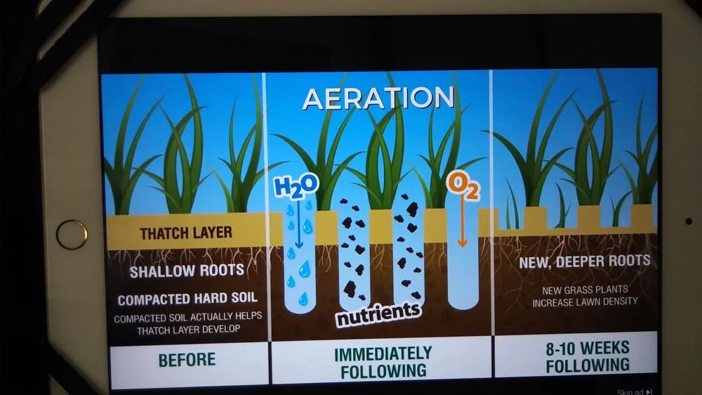 Local lawn mowing service experts serving Central Islip, NY - Landscapes by the Yard