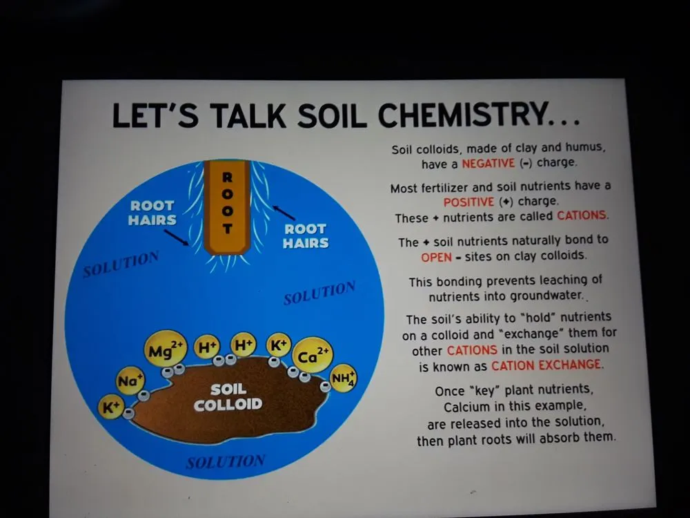 Reliable landscape design in Central Islip, NY - Landscapes by the Yard