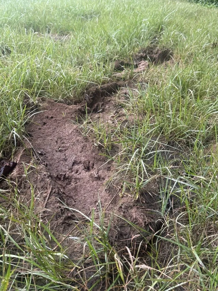 Local lawn mowing service for homes in Charlotte, TN by Landscapes By Tidwell