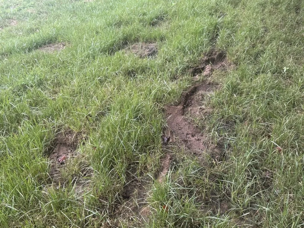 Trusted yard maintenance for homes across Charlotte, TN - Landscapes By Tidwell