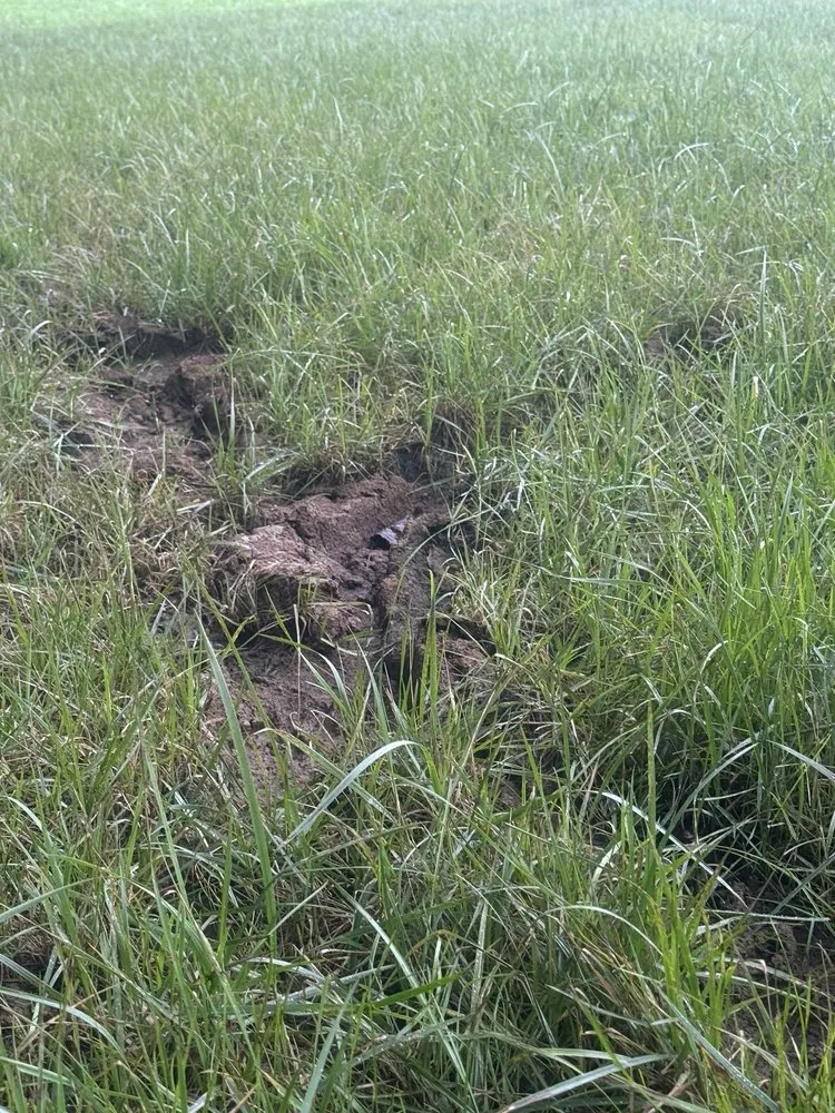 Local landscape design for outdoor upgrades across Charlotte, TN - Landscapes By Tidwell