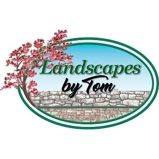 Top-rated yard cleanup service experts serving Meredith, NH - Landscapes by Tom
