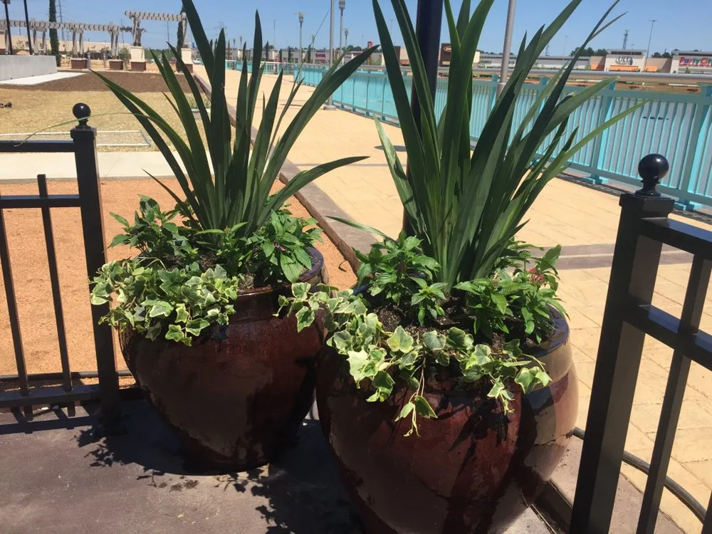 Local yard cleanup service for outdoor upgrades across Houston, TX - Landscapes By Torres