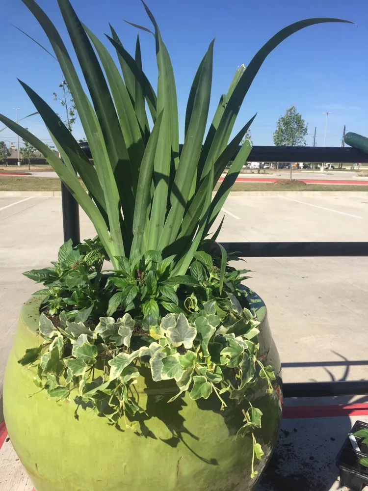 Expert residential landscaping with custom design across Houston, TX - Landscapes By Torres