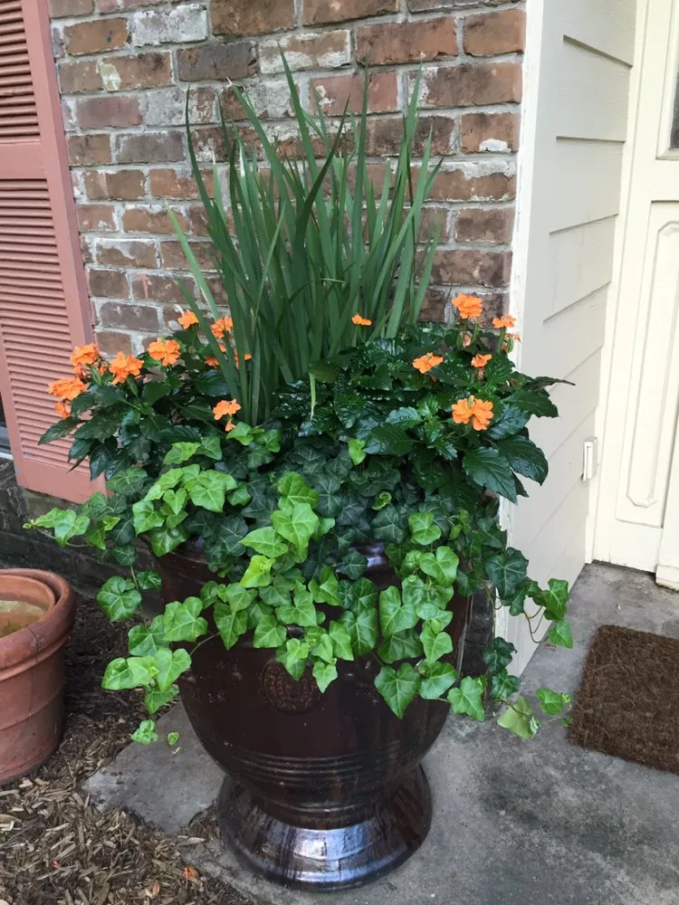 Expert residential landscaping in Houston, TX - Landscapes By Torres