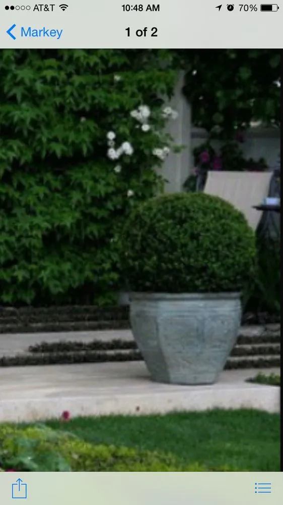 Affordable landscaping services in Houston, TX - Landscapes By Torres