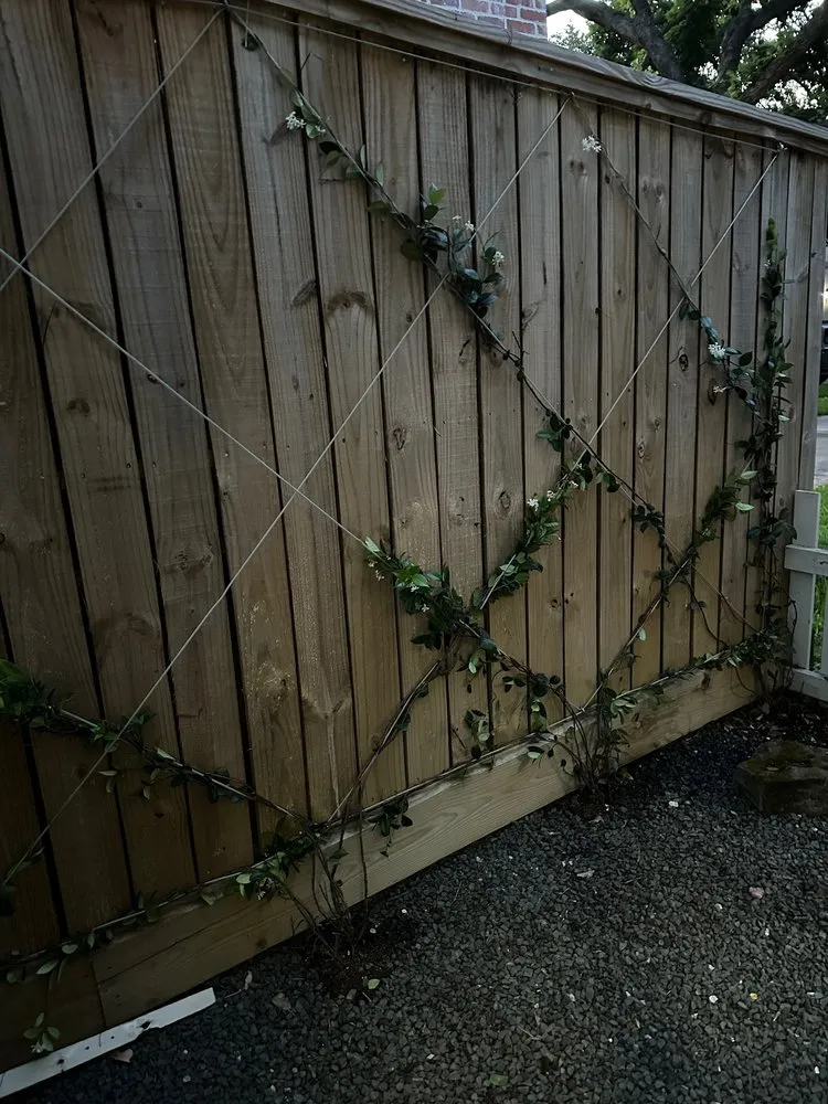 Custom lawn care service near you across Houston, TX - Landscapes By Torres