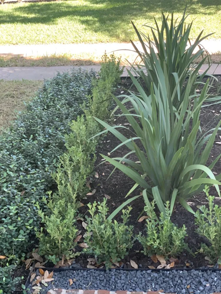 Professional landscape design in Houston, TX - Landscapes By Torres