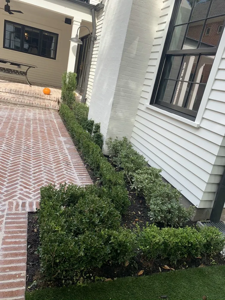 Custom yard maintenance in Houston, TX - Landscapes By Torres