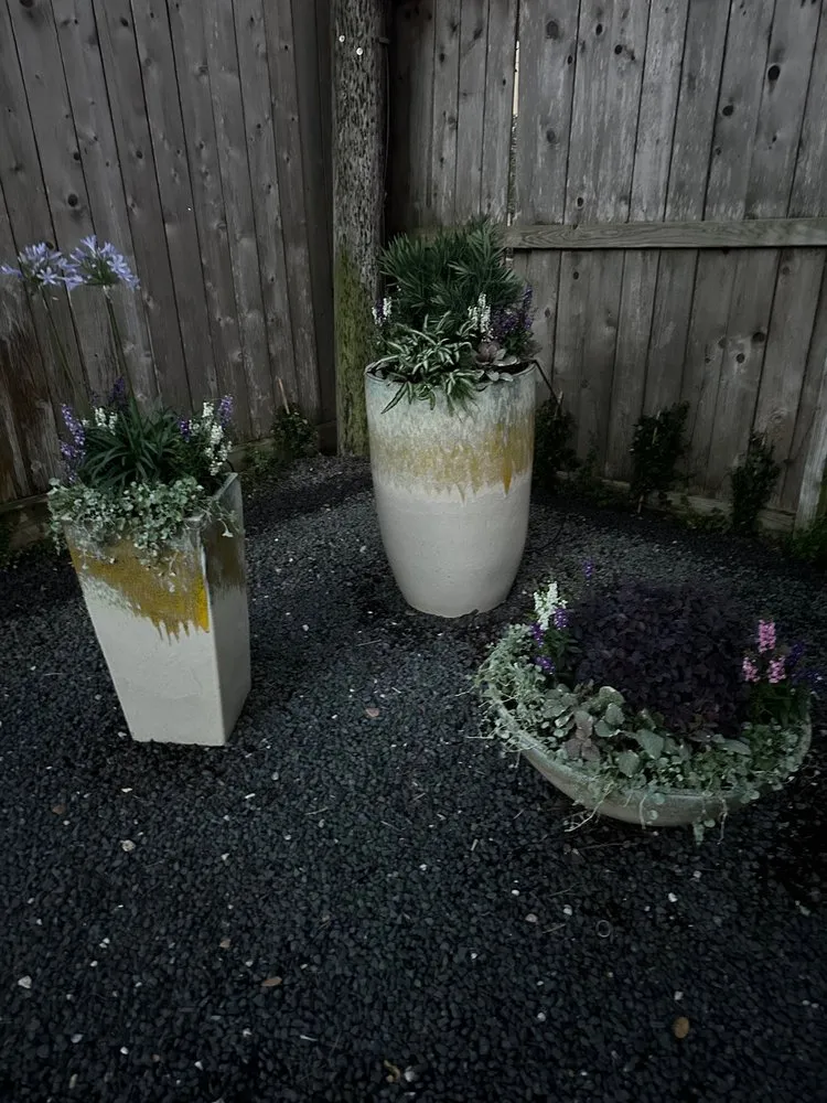 Custom lawn mowing service experts serving Houston, TX - Landscapes By Torres