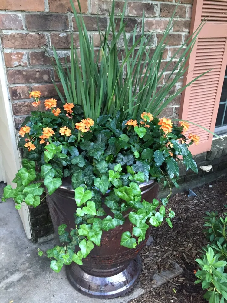 Professional residential landscaping in Houston, TX by Landscapes By Torres